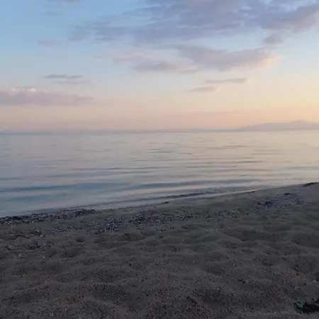 Sea & Roses Beachfront House - Halkidiki 尼亚·蒙达尼亚