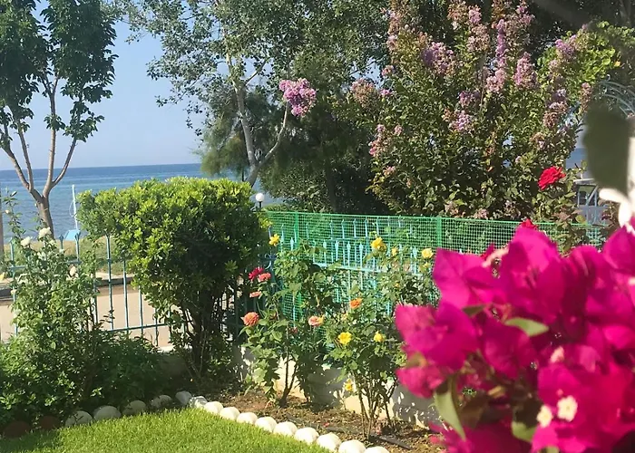 Sea & Roses Beachfront House - Halkidiki 度假居 尼亚·蒙达尼亚