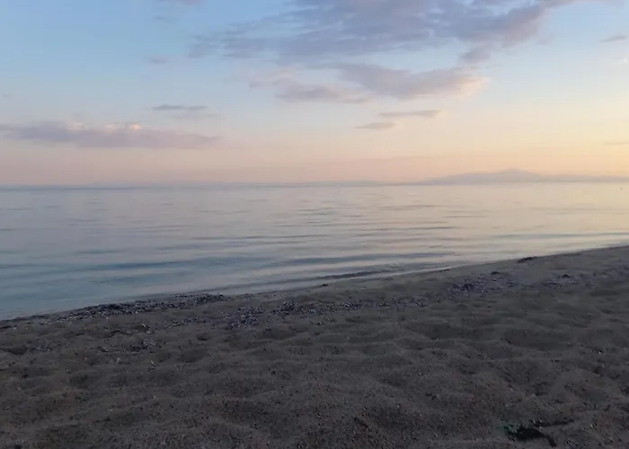 Sea & Roses Beachfront House - Halkidiki 尼亚·蒙达尼亚