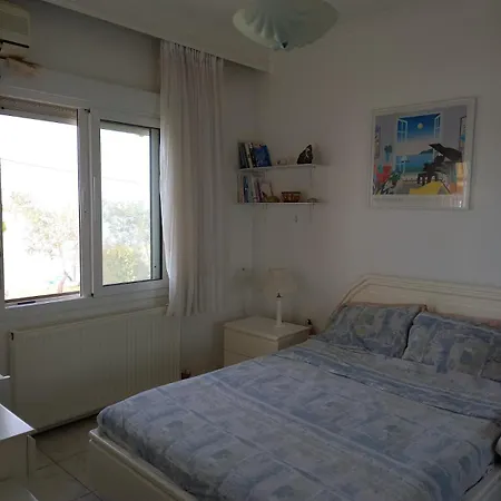 Sea & Roses Beachfront House - Halkidiki 度假居 *