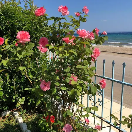 Sea & Roses Beachfront House - Halkidiki *