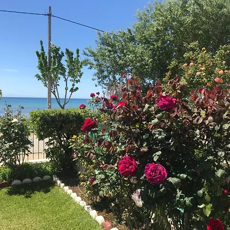 度假居 Sea & Roses Beachfront House - Halkidiki 尼亚·蒙达尼亚