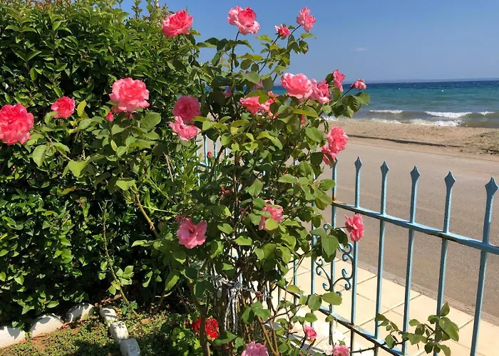 Sea & Roses Beachfront House - Halkidiki *
